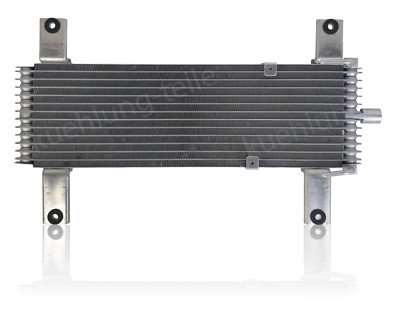 Ölkühler Ölkühlung NISSAN PATHFINDER NAVARA FRONTIER 2010- 3.0 DCI 216065X21A
