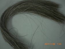 Horse Hair, Natural Silver Grey, 1/4 lb, 13-15 Inch