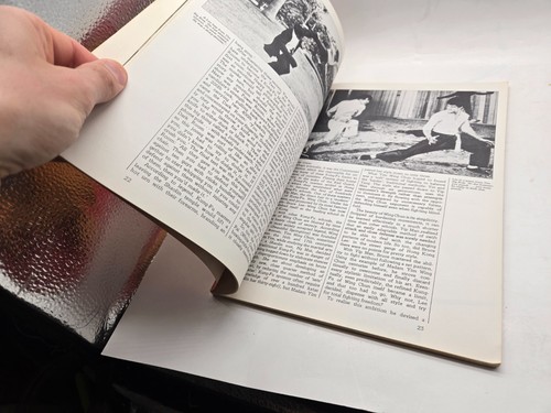 Bruce Lee Roi du Kung-Fu Édition Collector Felix Dennis et Don Atyeo 1974 1s - Photo 3/7