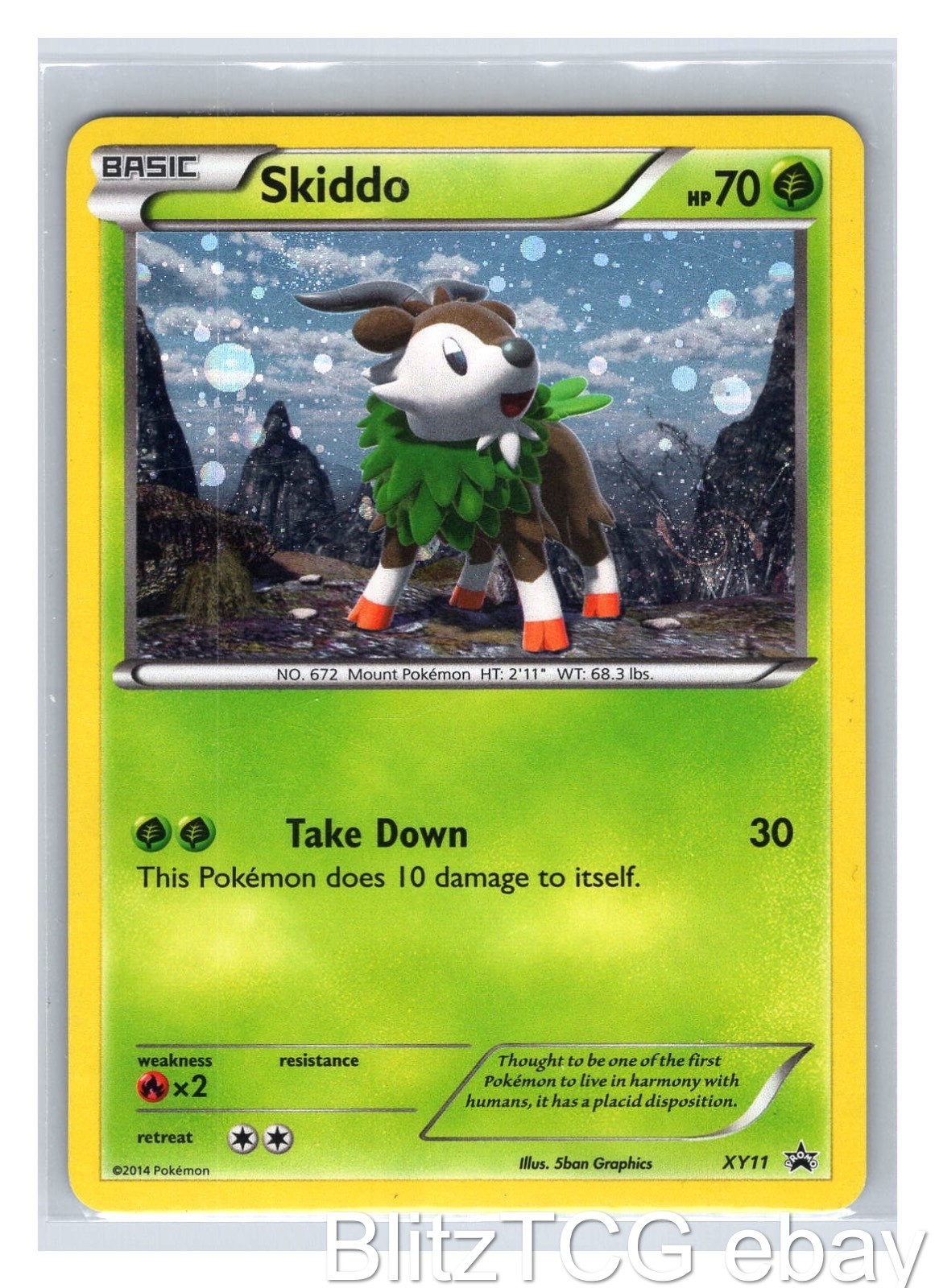 Skiddo PR XY11 XY Promo Pokemon Holo Promo NM/M