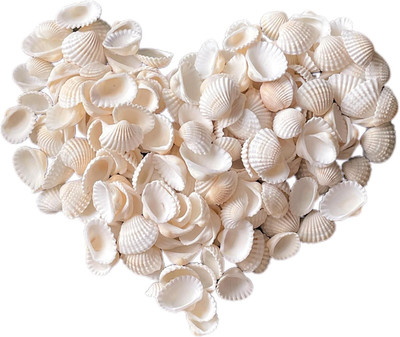 140Pcs Tiny Sea Shells - 0.8-1.2 Inches Natural Small White Clam Shells for Craf