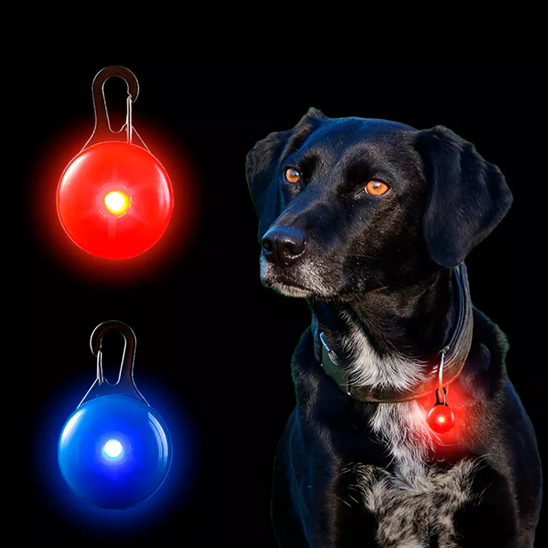 Pet tag clip sales