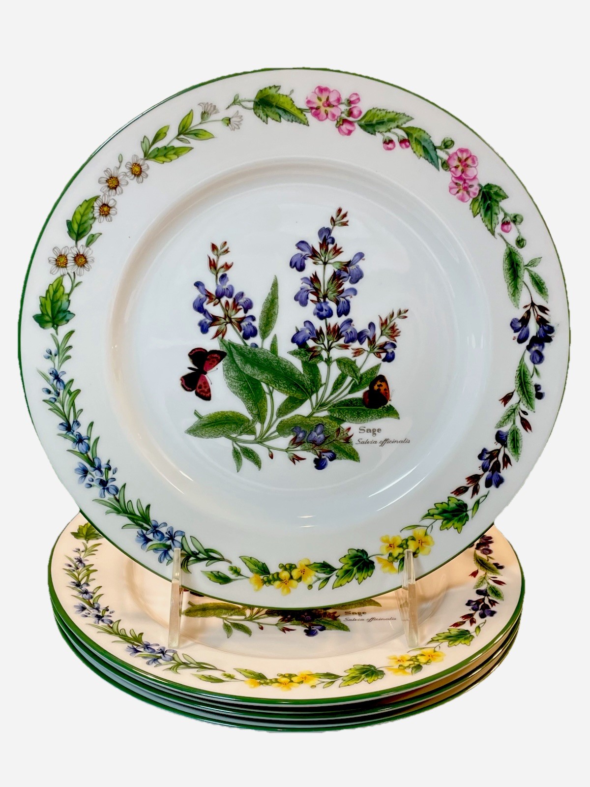 Vintage Royal Worcester Herbs Salad Dessert Plate Sage Green Rim ~ MINT Set Of 4