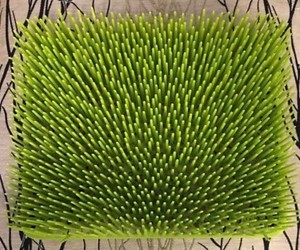 boon grass drying rack green