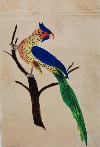 Studie eines Vogels, Aquarell
