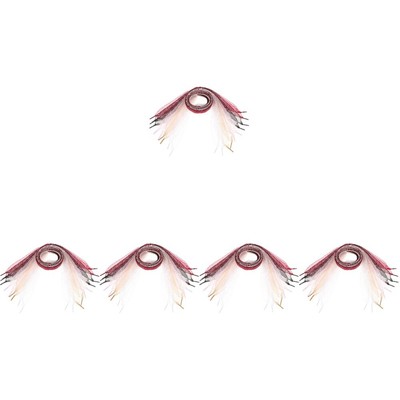 5pcs Turnschuhe Schnürsenkel Band Schnürsenkel Schuh Saiten Chiffon Schnürsenkel