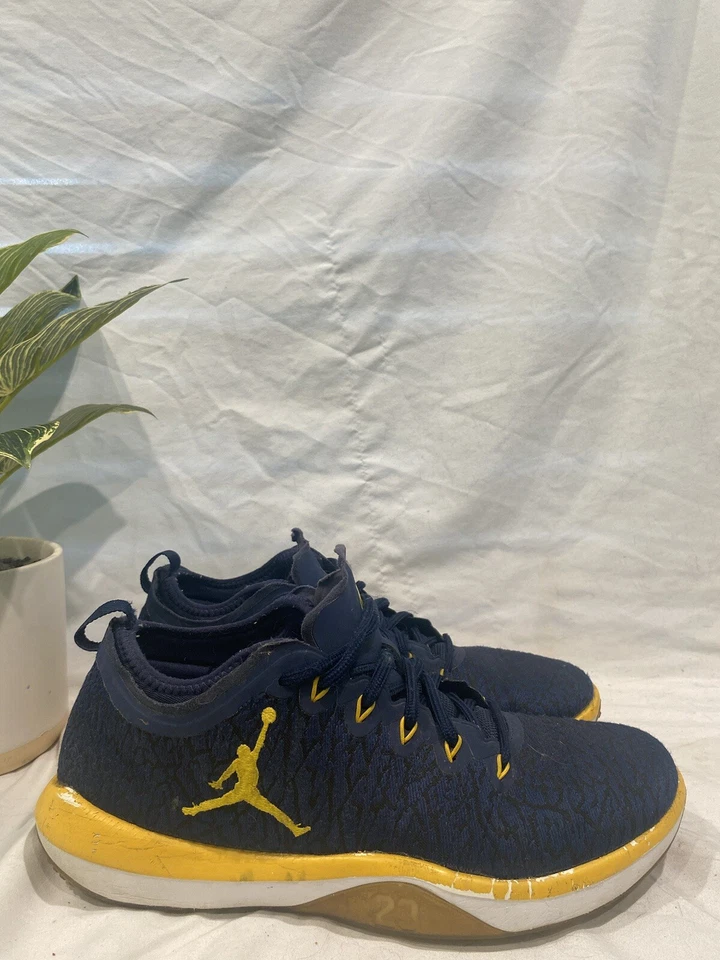Jordan Trainer 1 Low Michigan Wolverines Talla 10 Foto 3 de 4