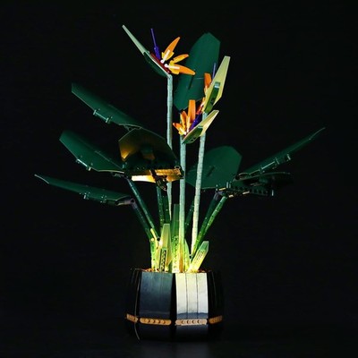 Lichtset LIGHTAILING Creator Expert Bonsai Tree   LED für Lego 10281