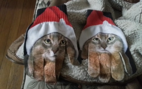 Kids Cat Mittens-Colorful!9.99 Buy It Now! - Picture 2 of 3