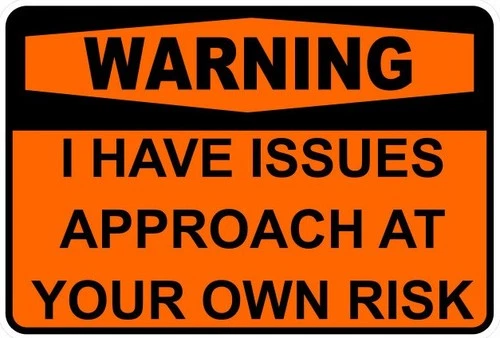 Warning I Have Issues Funny Self Adhesive Sticker