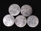 Lot of Five 1996 Walking Liberty Silver Eagle 1 Oz. Fine Silver No Mint Mark