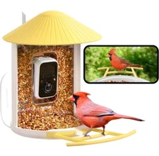 Smart Bird Feeder with Camera, 1080P HD Bird Feeder Camera, Auto Captures Birds