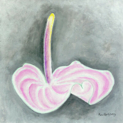 Pink Anthurium, by Ben Gertsberg, 12''x12'', Fine Art Print