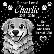 Personalized Dog Pet Memorial 12"x12" Engraved Solid Granite Grave Marker