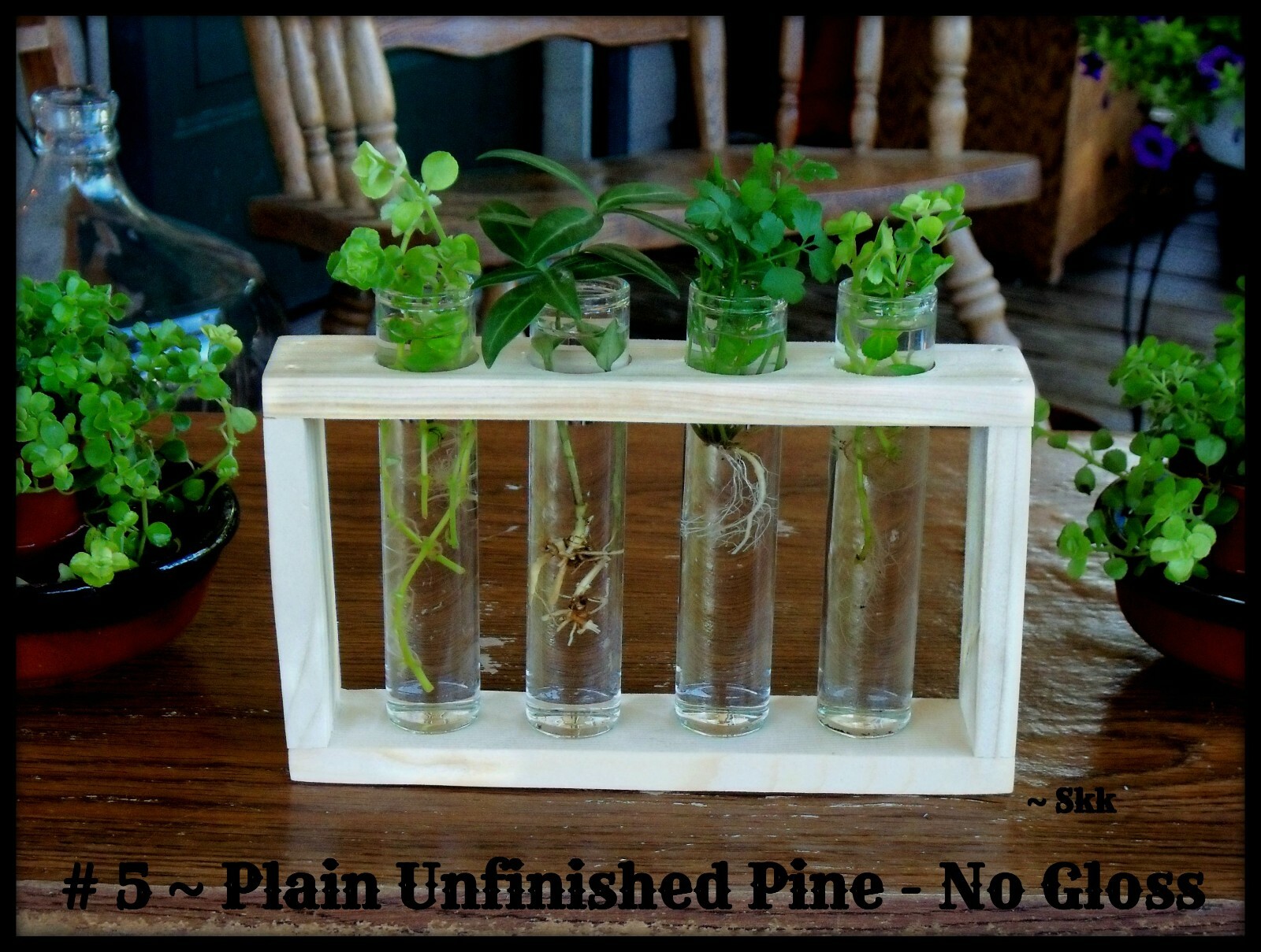 Handmade Rustic 6 Glass TUBE Plant Propagation Starter Station System
