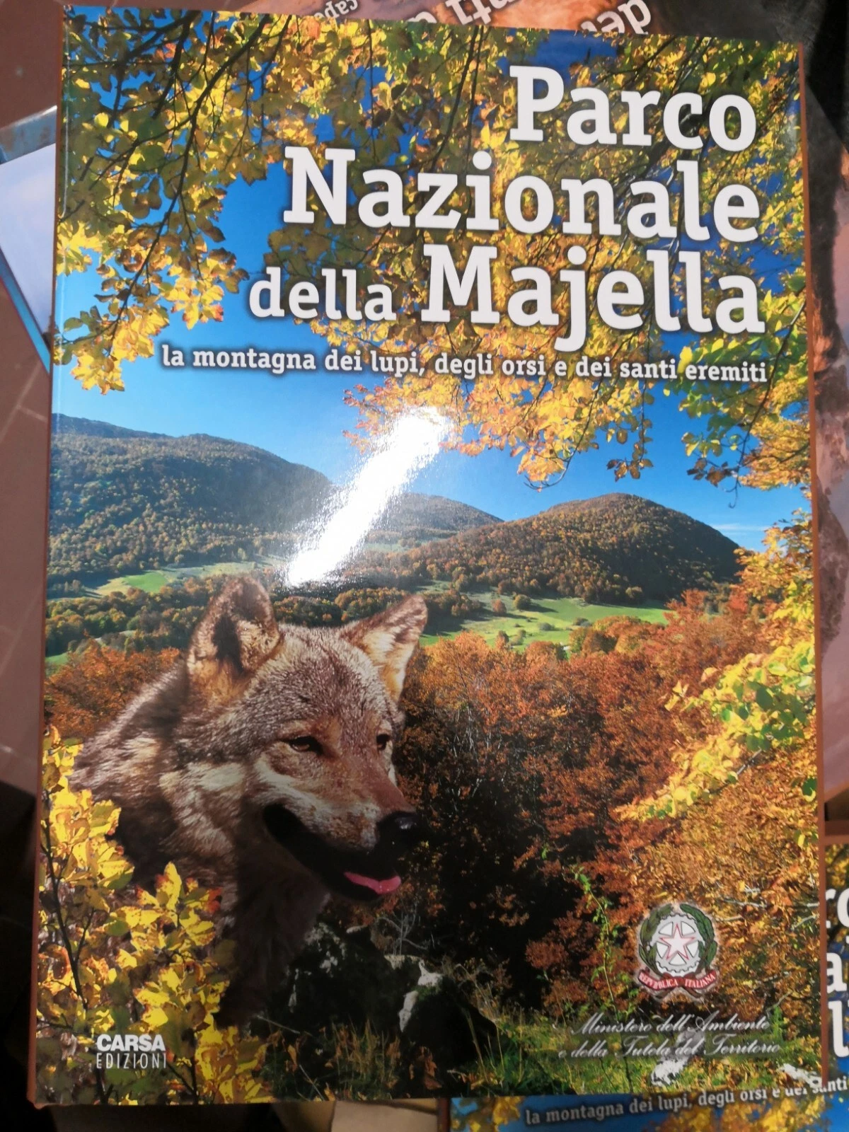 Foto 1 di 1