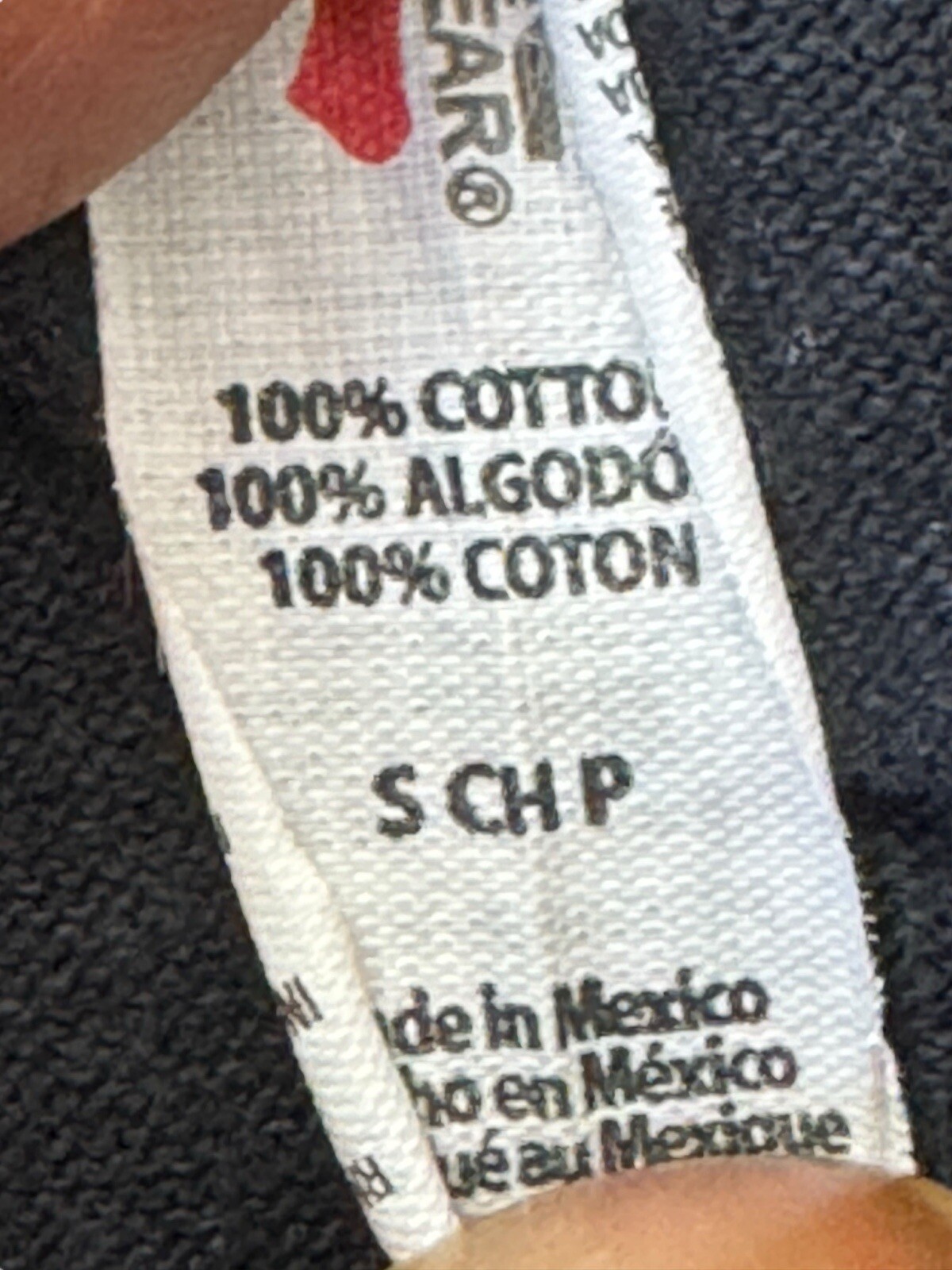 Foto 6 di 7