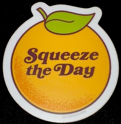 ORANGE STICKER       2 3/4  x 2 1/2  Squeeze The Day YUMMY   VITAMIN C 