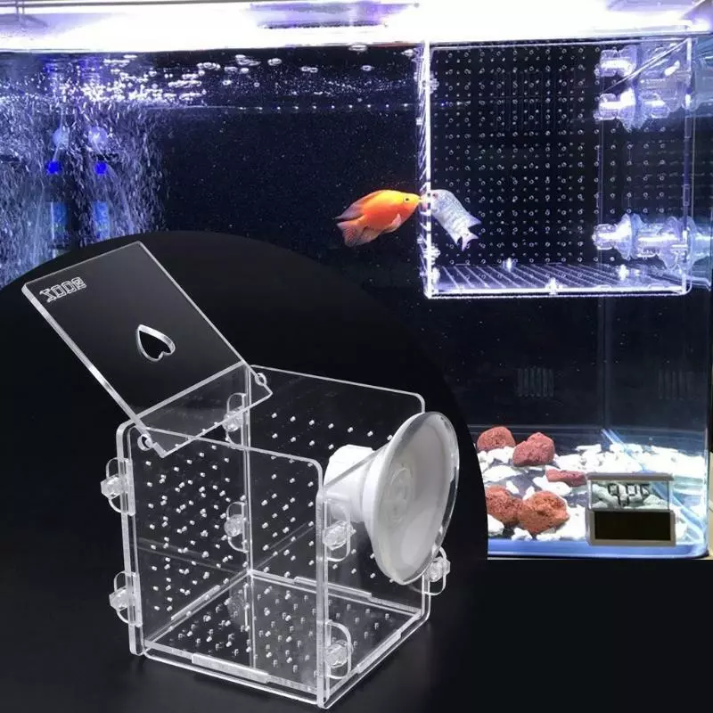 Aquarium Fish Breeding Isolation Box Fish Tank Incubator Breeder For Baby  Fish