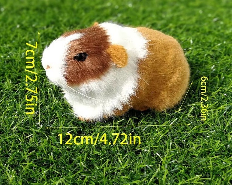 Grooming Guinea Pig Holiday Boarding Near Me Supreme Science