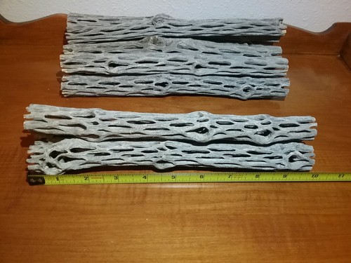 3 pieces of 10" inch Cholla Wood | Organic Cactus | Aquarium Decor | Chinchilla - Picture 5 of 10