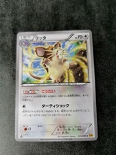Pokemon Card / Card Raticate 065/080 XY9 1ED ( Rage of the Broken Heavens ) NM
