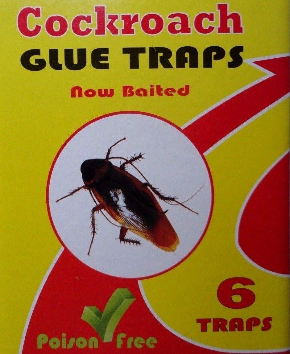 NEW strong 6x sticky cockroach killer/trap for fly and other reptiles ...