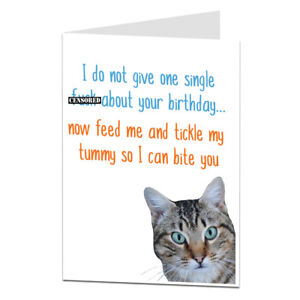 Funny Joyeux Anniversaire Carte De Chat Theme Blague Grossier Humour Pour Proprietaire Amant De Lady Ebay