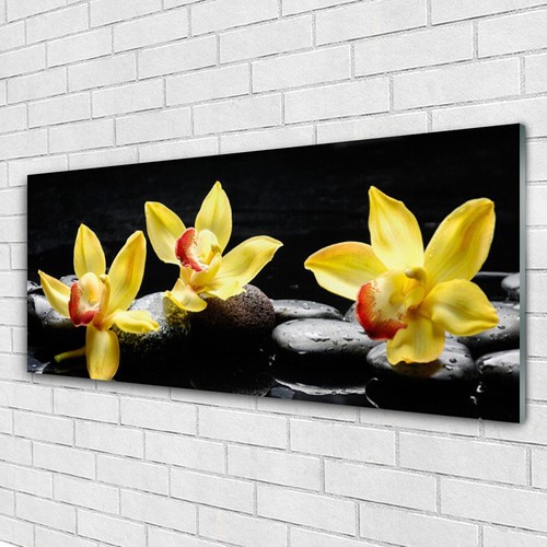 Tulup Glass print Wall art 125x50 Image Picture Flower Stones eBay