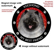 Keeshond My Best Friend Dog Car Magnet