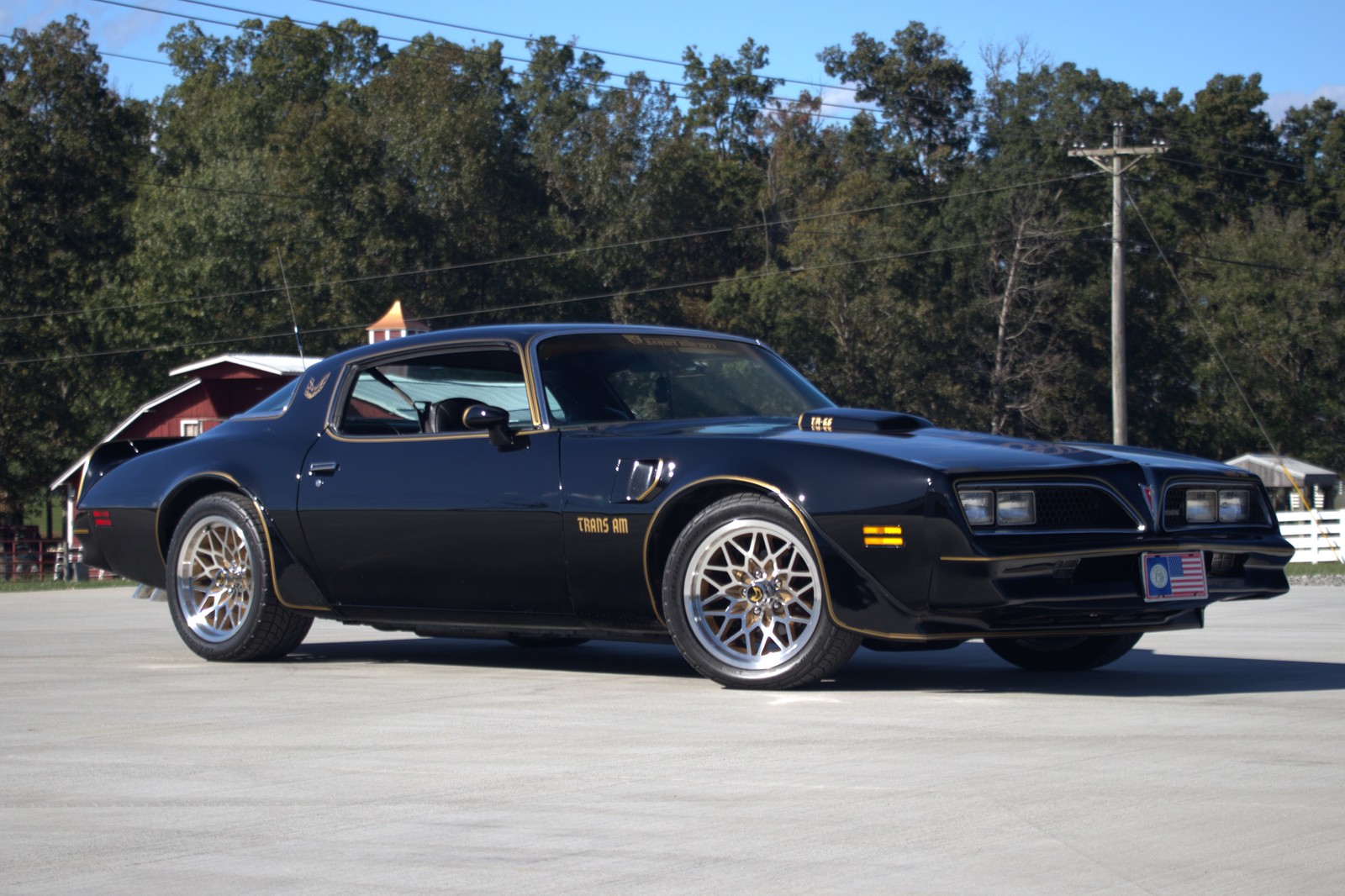 1977 Pontiac Trans Am for sale in Bee Spring Kentucky