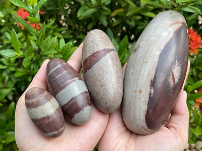 2'' 3'' 4''& 6'' Shiva Lingam Stone,Shiva Lingam Sacred Stone,Palm Stone,Pick A Size