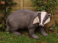 LIFE SIZE BADGER. Stunning Home & Garden Ornament. Very Realistic. Vivid Arts.
