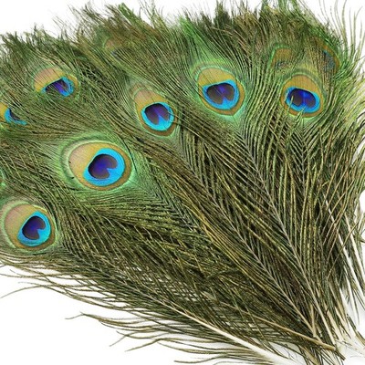 iHUFeather 10PCS Real Natural Peacock Eye Feathers 10-12 inch for DIY Craft Flor