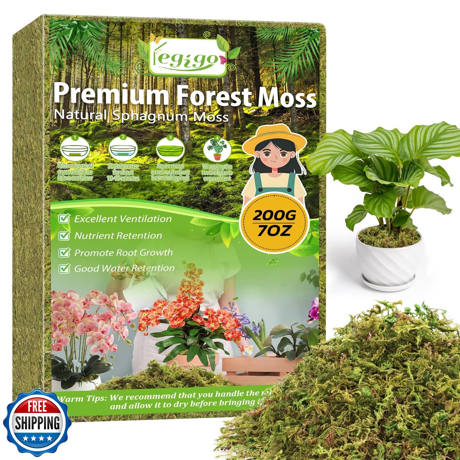 Legigo 7oz Real Green Moss for Crafts 8QT Natural Decorative Moss for Planters