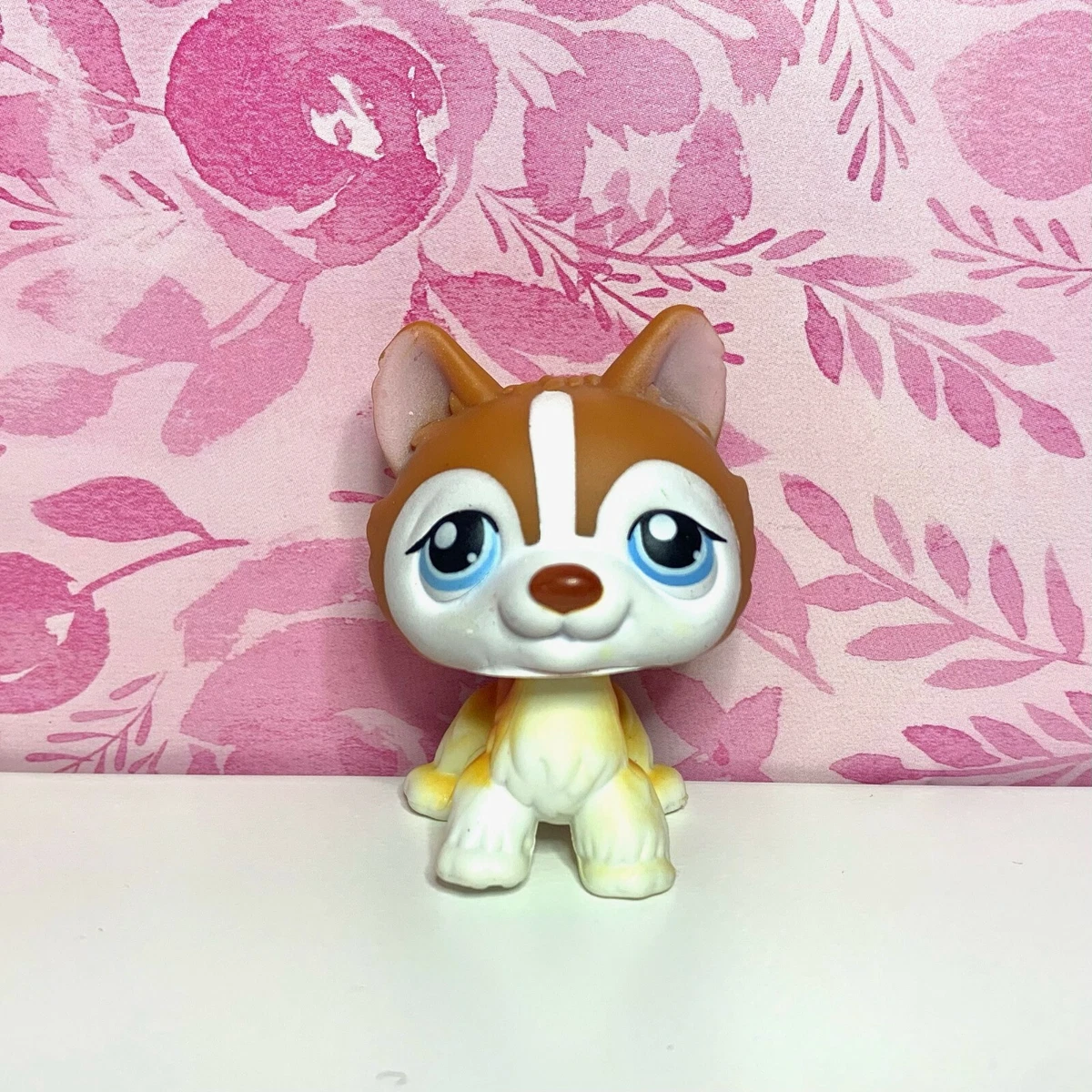 Husky hotsell dog shop