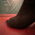 Bild 20 von 24