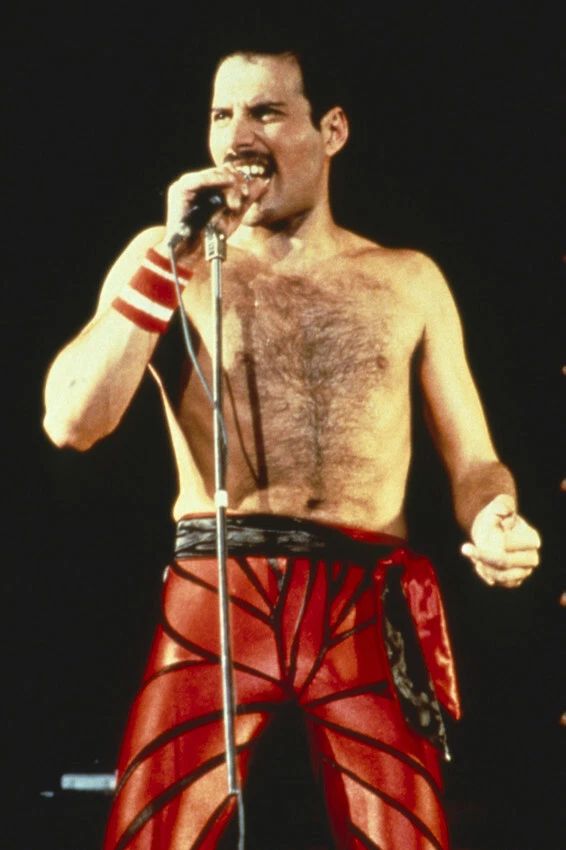 Pantaloni 2025 freddy mercury