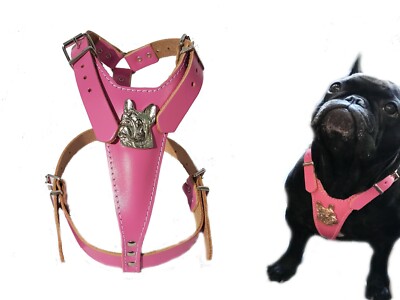 pink leather dog harness