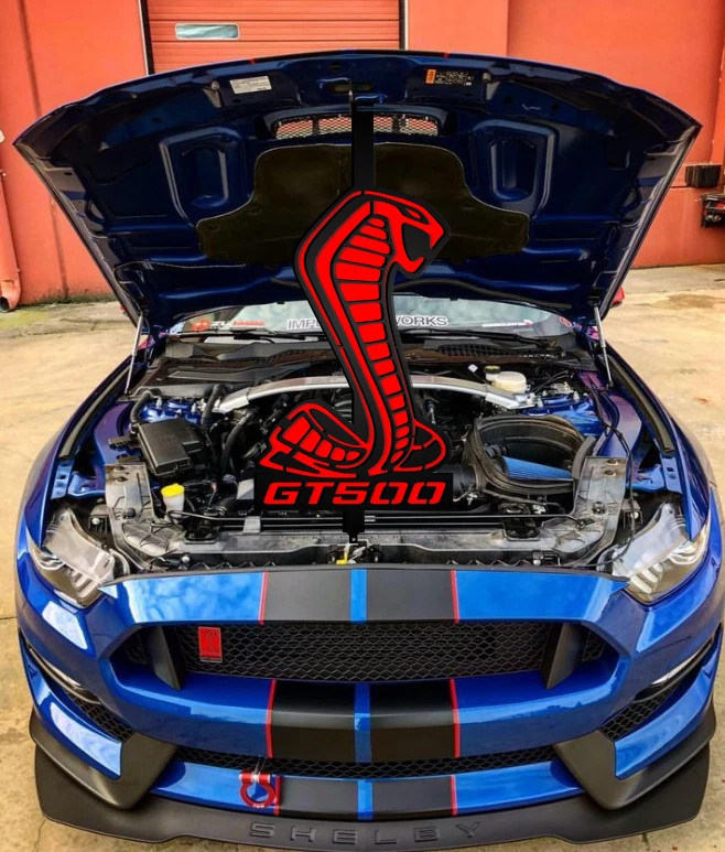 Shelby gt500-gt350 Mustang capó hélice para exposición de autos (personalización disponible) Foto 2 de 4