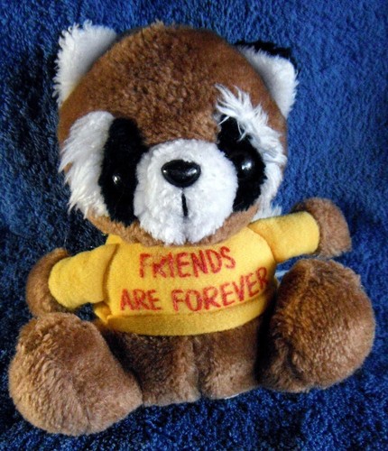 *1800* Friends are Forever' Raccoon -  Russ Berrie #607 - 16cm - plush - vintage - Picture 1 of 4