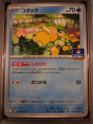 PSA 10 Pokemon Card Psyduck Golduck GYM Promo SEQ set 262/SV-P