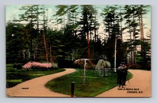 Postcard Rollins Park Concord NH Pines Cherry Trees Flowers Posted