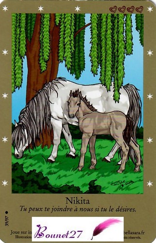 CARTE CARD Cheval Horse " BELLA SARA " EDITION DE BASE N° AUX CHOIX - Imagen 38 de 88