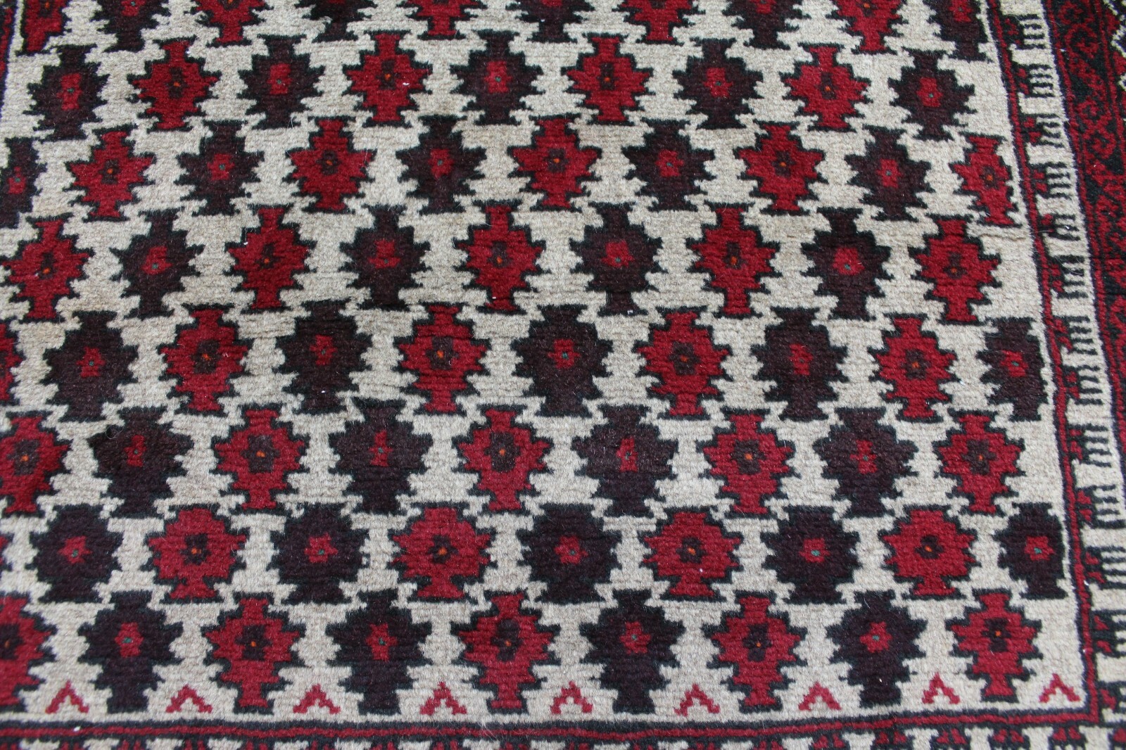 Picture 5 of 12