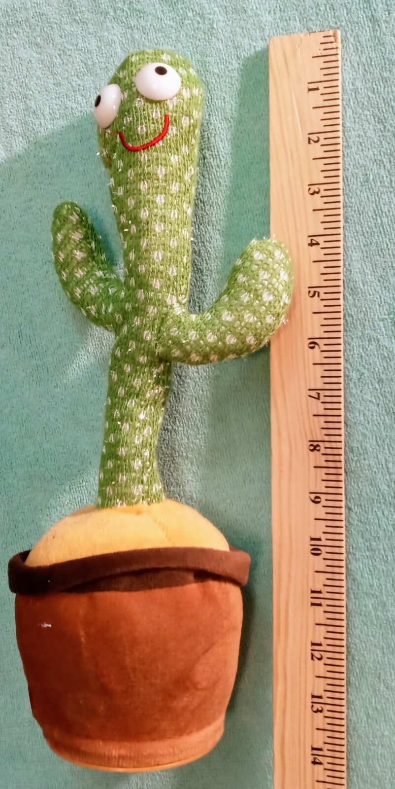 Picture 4 of 5