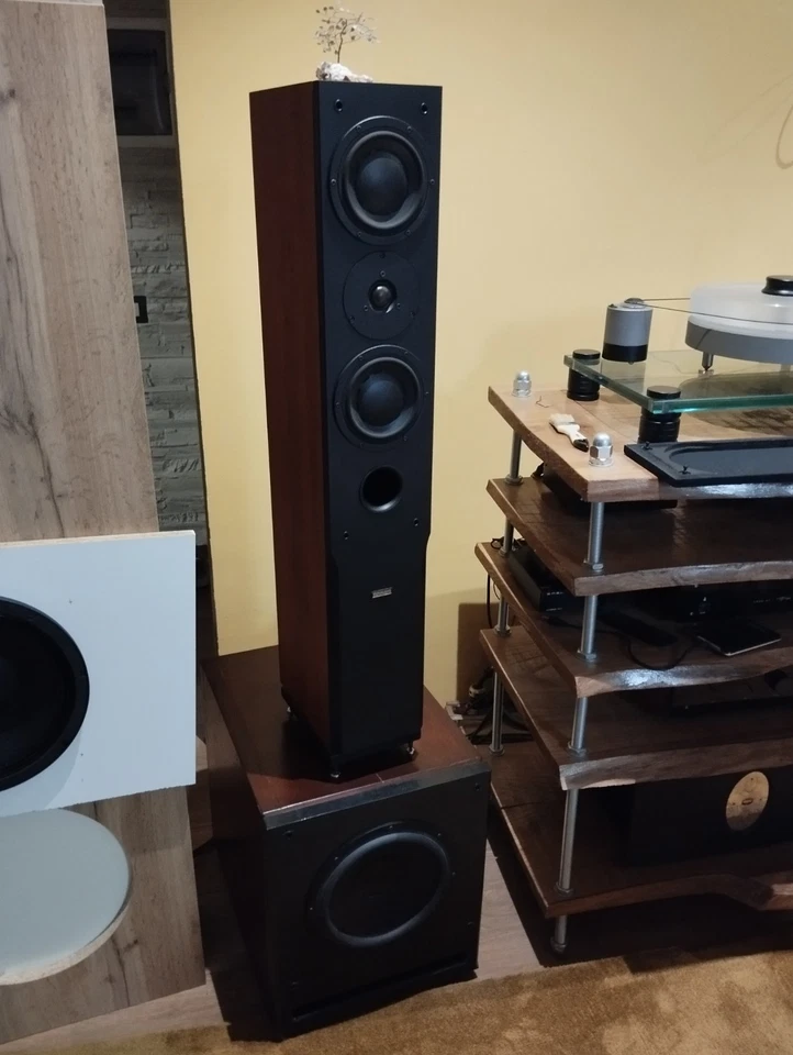 casse acustiche Dynaudio Audience 122 - Immagine 3 di 4