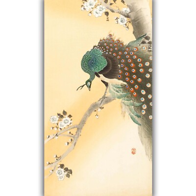 Peacock on a Cherry Blossom Tree by Ohara Koson Giclée Canvas Print - Multi-Size