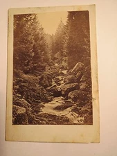Waterfall in a Forest / CDV