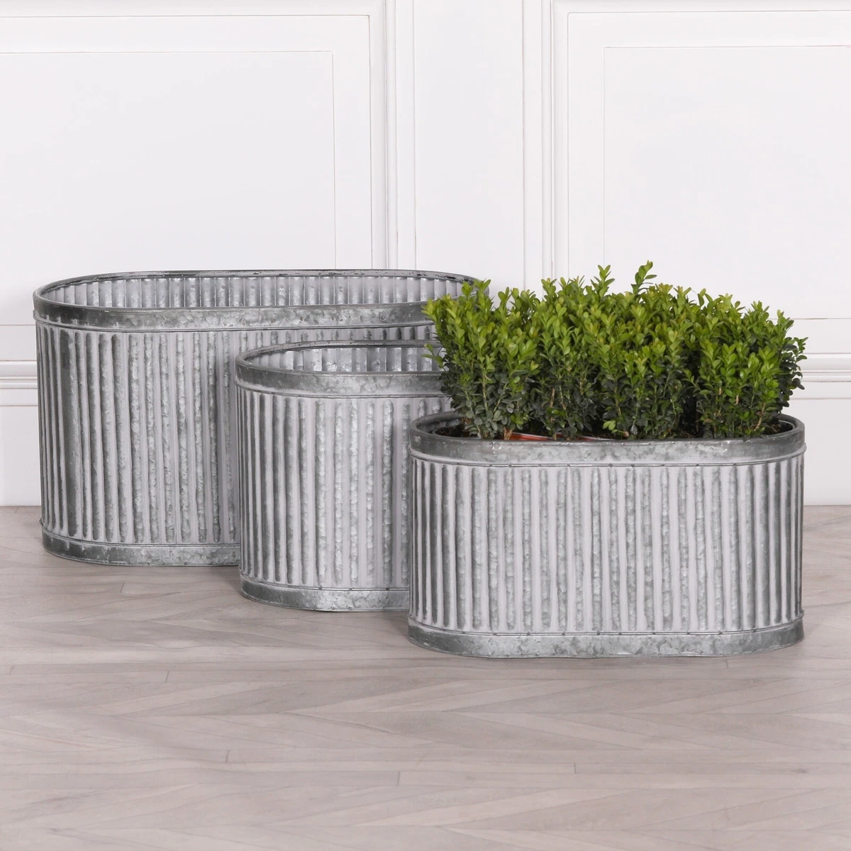 Galvanized Metal Garden Planters | Fasci Garden